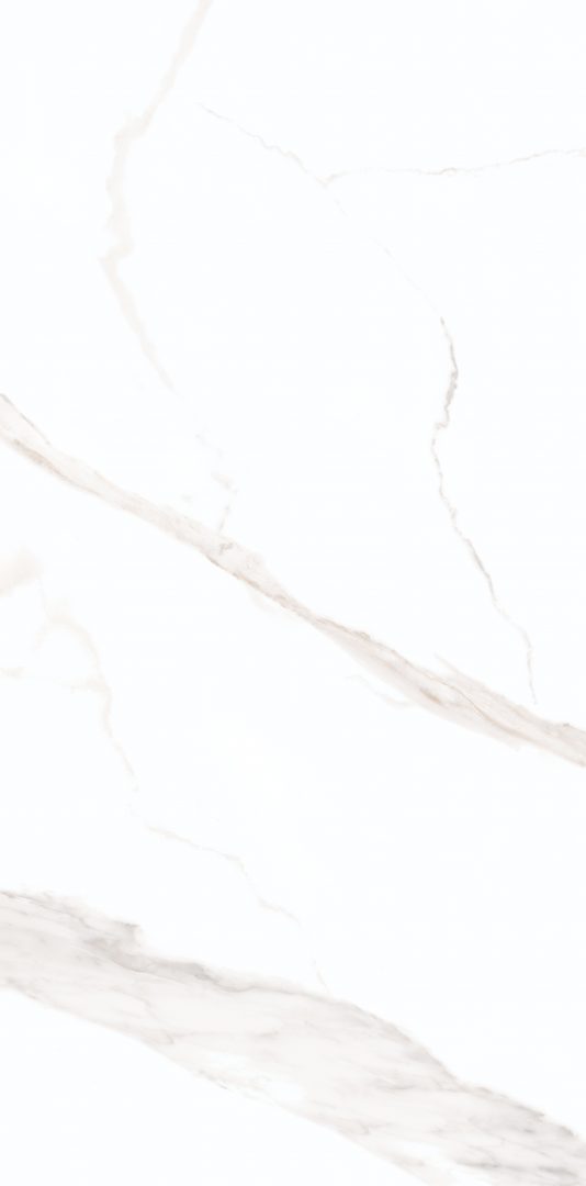 Olimpo-Gray-T4-F1